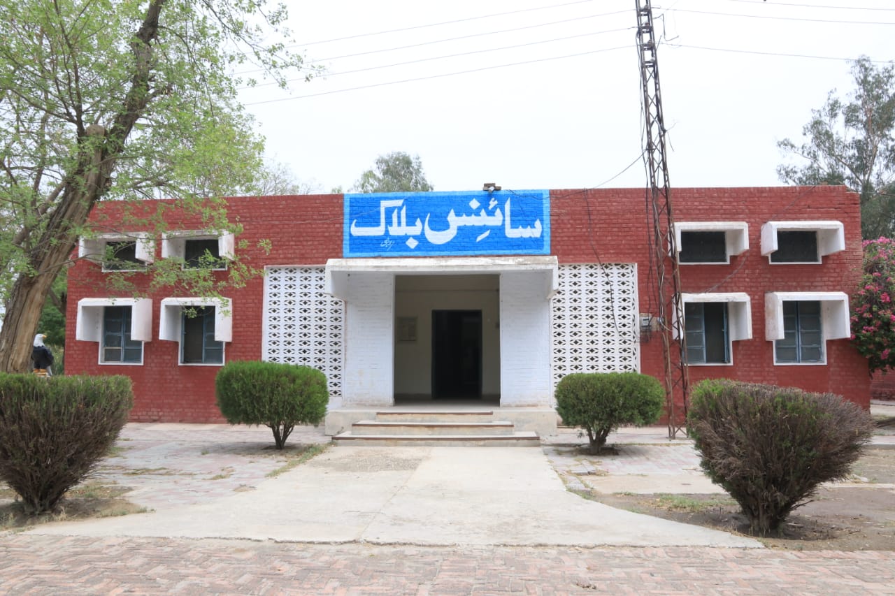 WhatsApp Image 2025-05-18 at 06.35.49