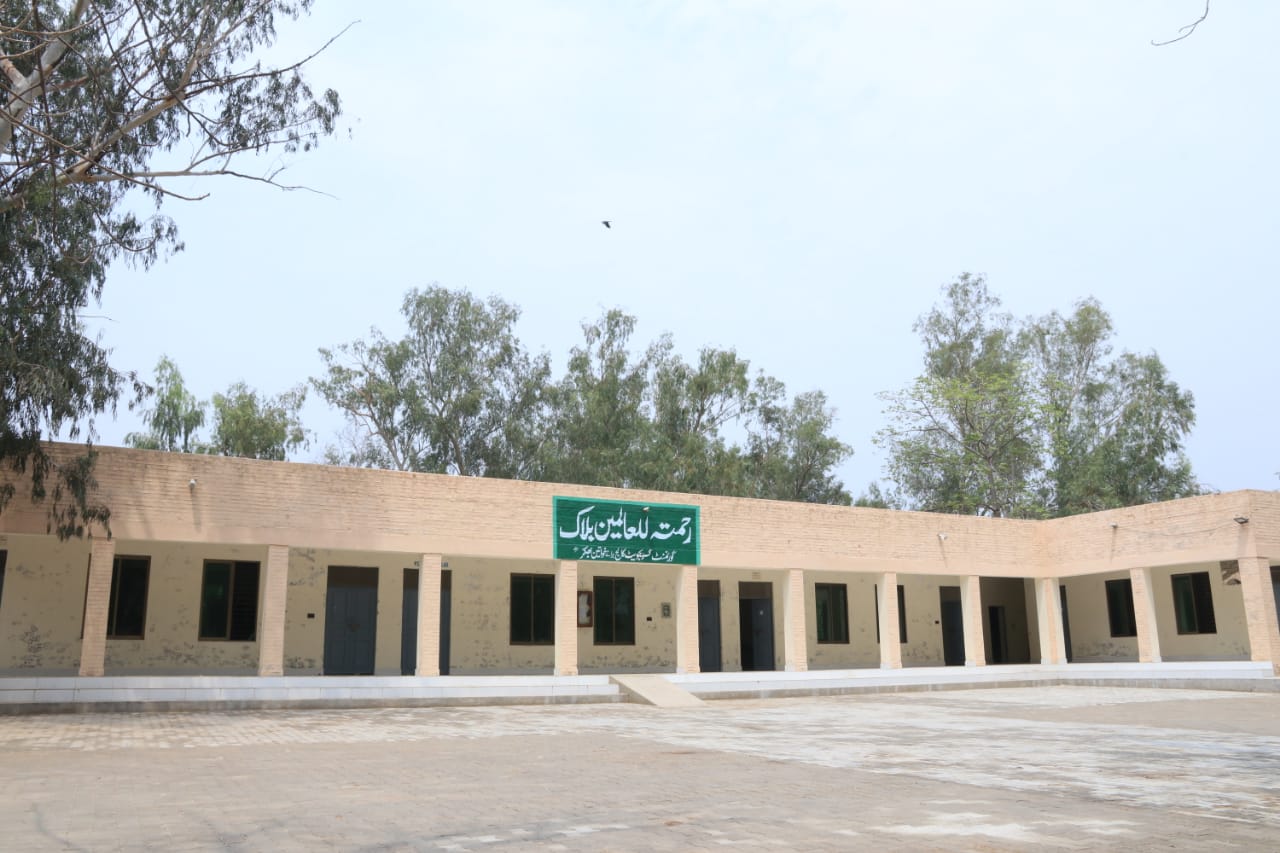 WhatsApp Image 2025-05-18 at 06.36.00